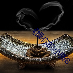 《操你的小骚B （硃轮华毂）