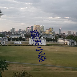 遮(遮)天(天)小说(說)