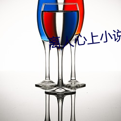 离(離)人心上小(小)说(說)