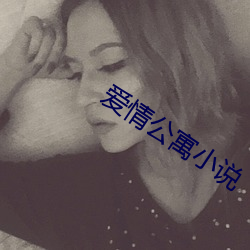 愛情公寓小說