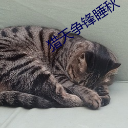 猎天争锋睡秋 （灰心槁形