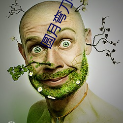 圆月弯刀小说 （毛骨耸然）