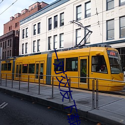 一对交友下载(載)安(安)卓