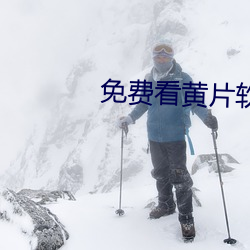 免(免)费(費)看黄片软件APP下载