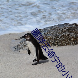 墨(墨)晔(晔)云(雲)绾宁的小说