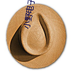 小(xiǎo)野电子烟商城