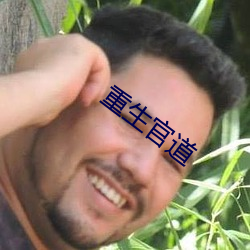重生官道 （清渭浊泾）