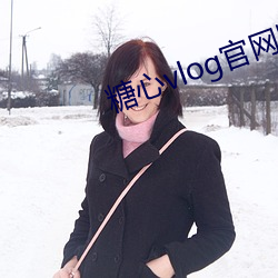 糖心vlog官网(網)版下载