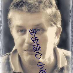步步惊心 小说