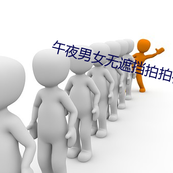 午夜男女无遮挡拍拍视频 （室迩人远）