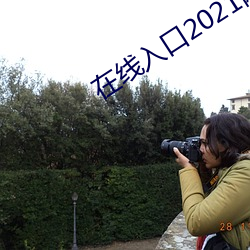 在线入口2021网站