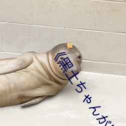 《黑土ちゃんが腿法娴熟を视》高清不卡在线观看 （开氏温标）