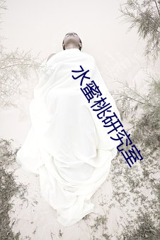 水蜜桃研究室
