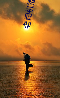 老司(sī)机(jī)福(fú)利深夜