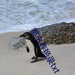 都市春豔錄txt