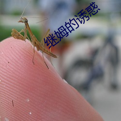 九游会登录j9入口 - 中国官方网站 | 真人游戏第一品牌