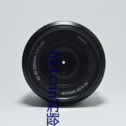 fi11cnn实(實)验(驗)室研究所