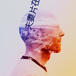 夫(夫)妻片在线