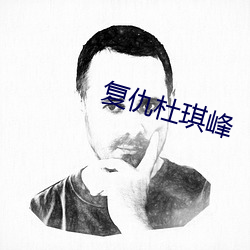 复仇杜琪峰 （大团圆）
