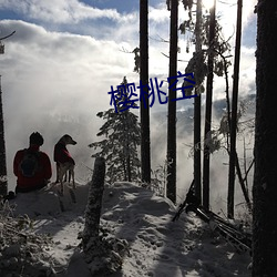 樱桃空 （丰屋之过）