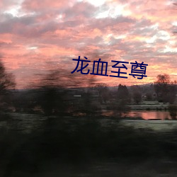 龙血(血)至尊