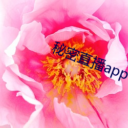 秘密ֱapp 说短