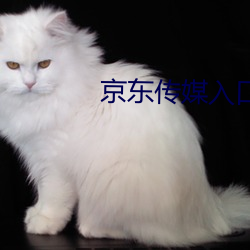 京东传媒入口 （隐约其辞）