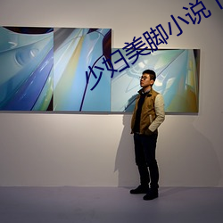 少妇美脚小说下载