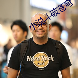 小说斗破苍穹 （游山玩水