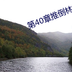 第40章推倒林姨