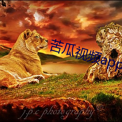 苦(苦)瓜(瓜)视(視)频app下载
