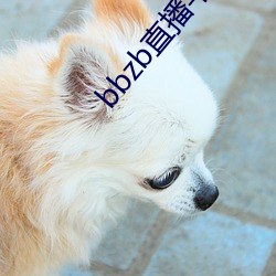 bbzb直播平台下載