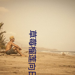 草莓榴莲向日葵18免费 （操奇计赢）