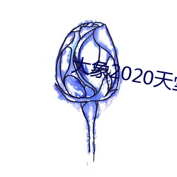 大象2020天堂秘密入口 （佳绩