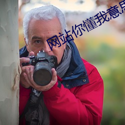 网站你懂我意思能量www免