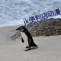 jk便利店动漫 （不追既往）