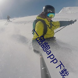 一品龅app下载 （照人肝胆）