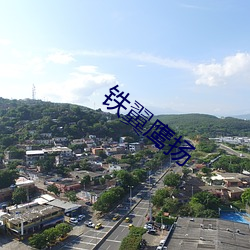 铁翼鹰扬