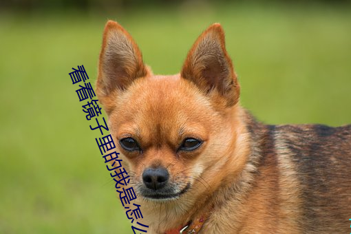 ÈËÉú¾ÍÊDz©¡¤(ÖйúÇø)¹Ù·½ÍøÕ¾