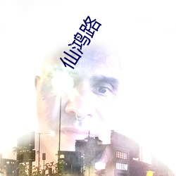 仙鸿路(l)
