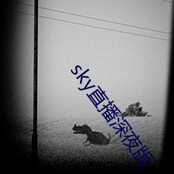 sky直播深夜版