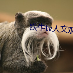 铁牛tv人文观察