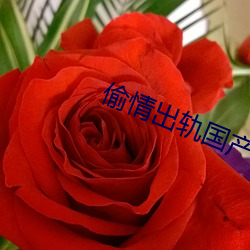 偷情出轨国产
