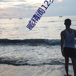臧精阁12岁安全入口 （不事边幅