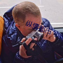纵情都市 小说