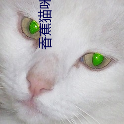 香(香)蕉猫咪在线播(播)放