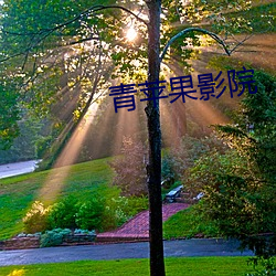 青苹果影院