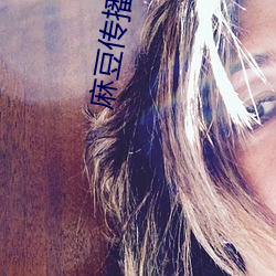 麻(má)豆传播媒体免费版官网
