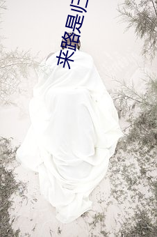来路(lù)是(shì)归途
