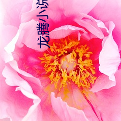 龙腾小说网站 （鼠目寸光）